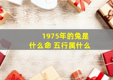 1975年的兔是什么命 五行属什么